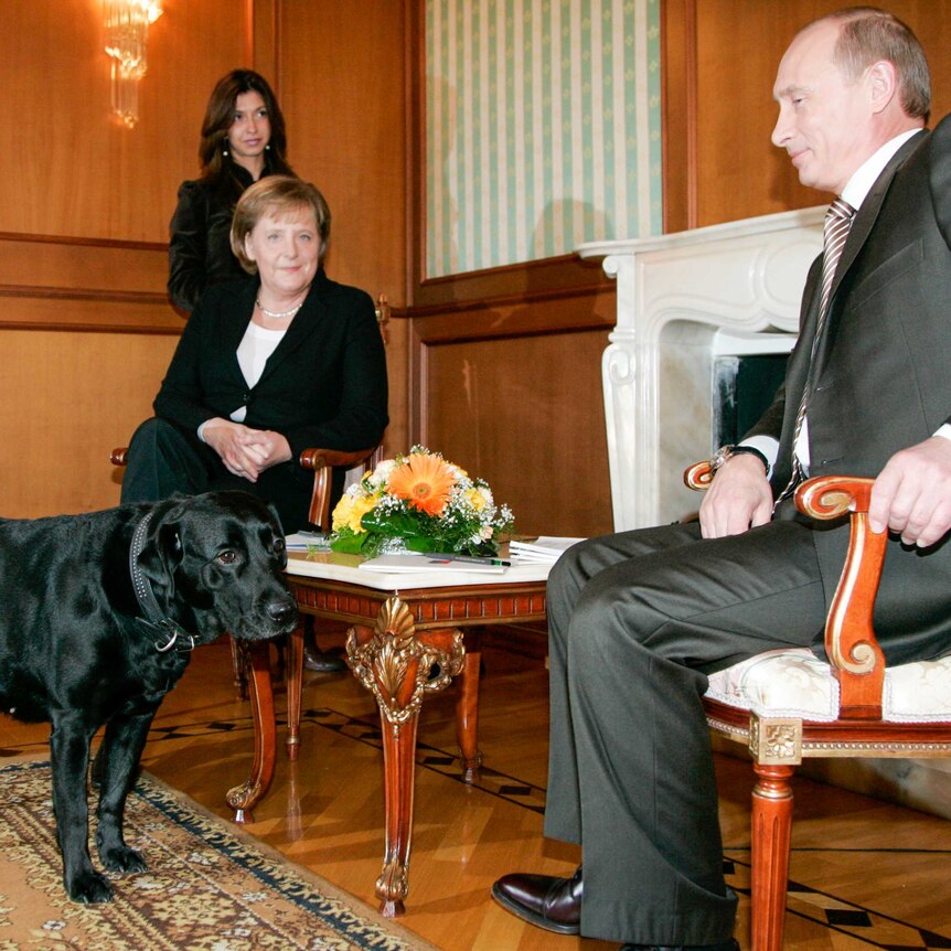German chancellor Angela Merkel and Russian President Vladimir Putin sit in chairs in front of a black dog