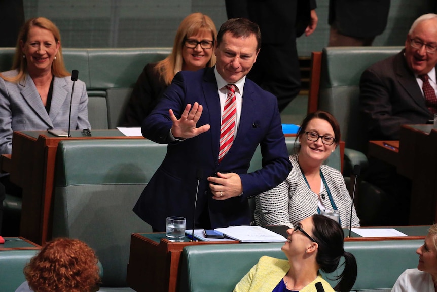 Graham Perrett wears a navy suit and red tie while standing up in the seats of parliament house, gesturing with his right hand.