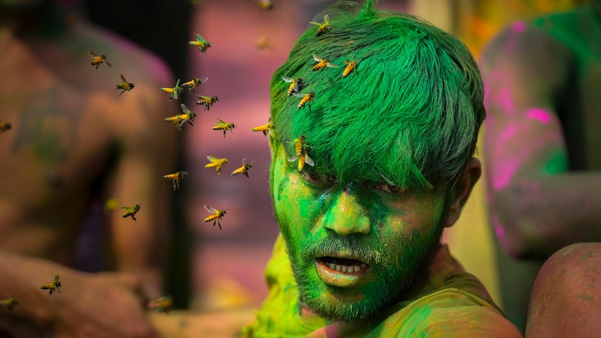 A swarm of bees attack a man with green coloured hair and yellow face in crowd