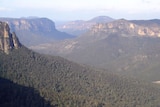 Mount Wilson area of the Blue Mountains National Park.
