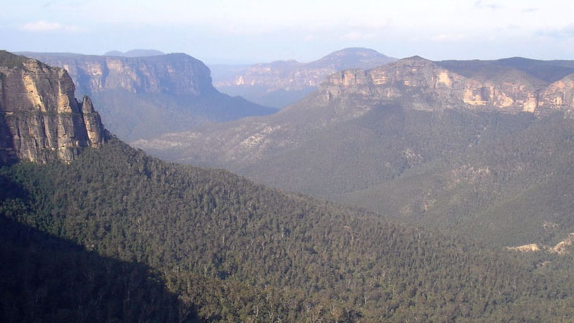 Mount Wilson area of the Blue Mountains National Park.