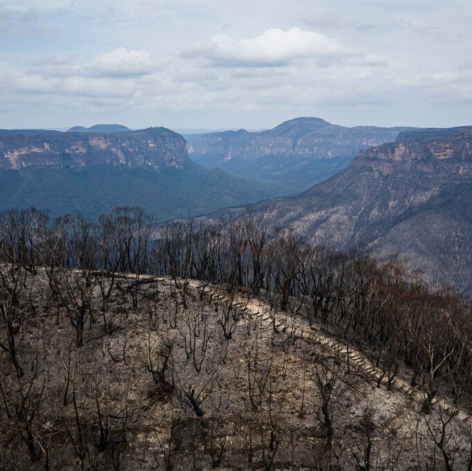 Wide view of fire damaged country in the The Greater Blue Mountains World Heritage Area