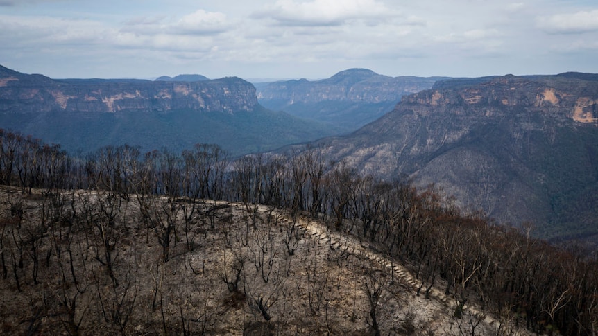 Wide view of fire damaged country in the The Greater Blue Mountains World Heritage Area