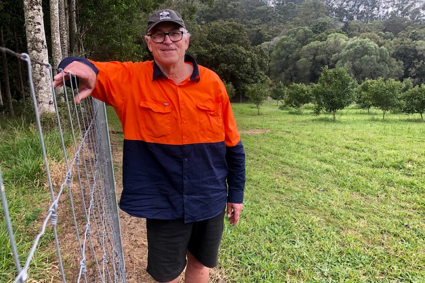 Bruce Maguire smiles at the camera leaning up against the fence protecting his macadamia trees.