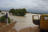 Pink Roadhouse staffer Belgian Tiny Van Breusegen checks out floodwaters.