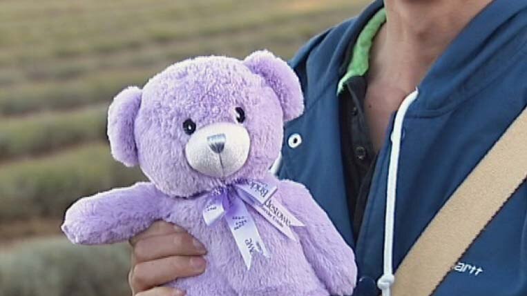 The Tasmanian-made bears have been banned in China for being a potential biosecurity threat.