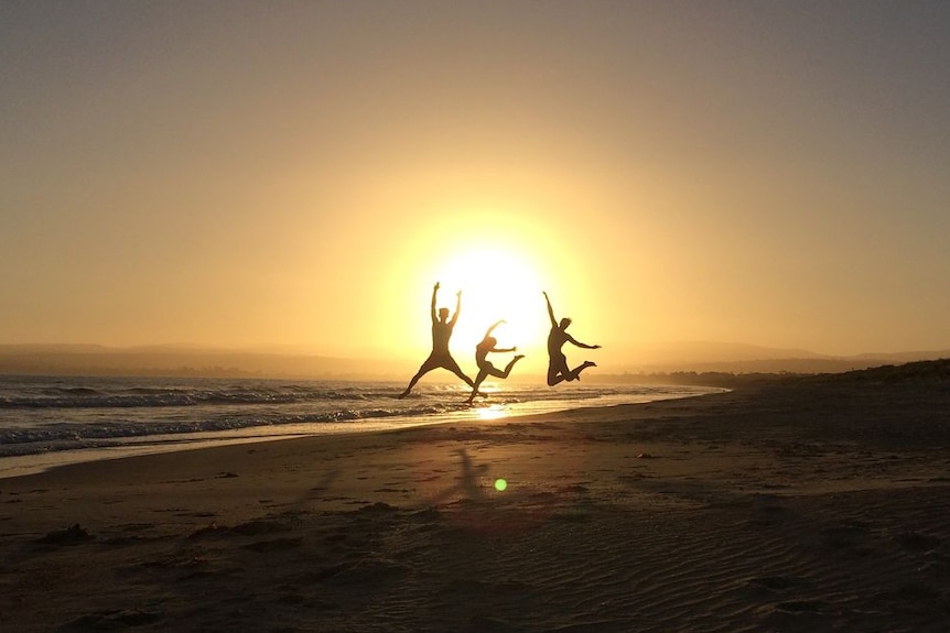 Silhouettes against a yellow sun