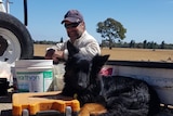 A farmer wearing a cap and sunglasses leaning onto his ute tray with a black dog sitting near him. 