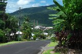 Street view with houses and tropical plants.