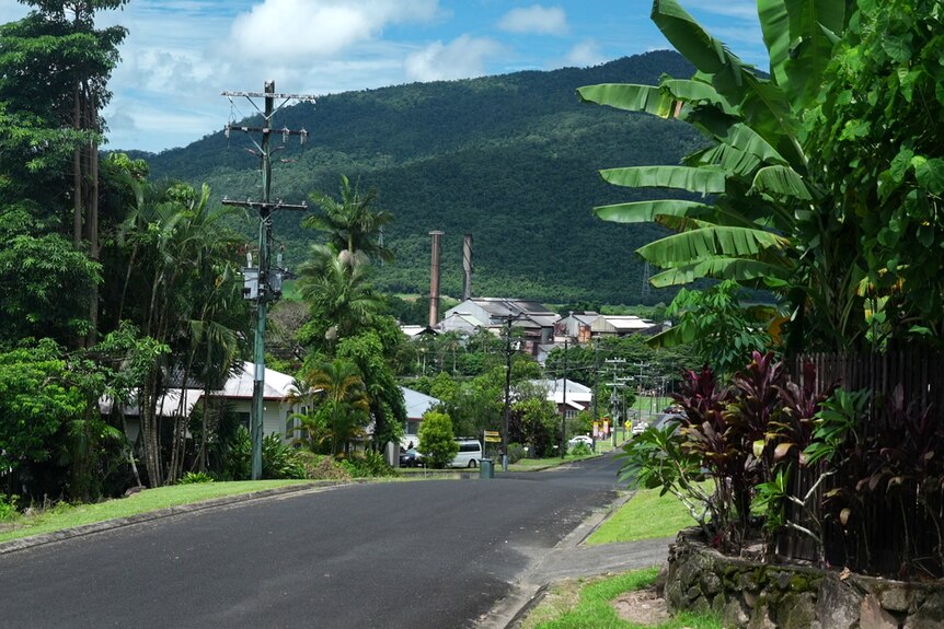 Street view with houses and tropical plants.