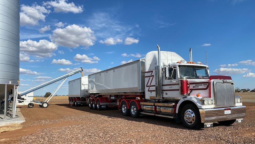 a red and white b double truck with a grain silo on the left with conveyor belt depositing the grain. blue sky behind on red dir