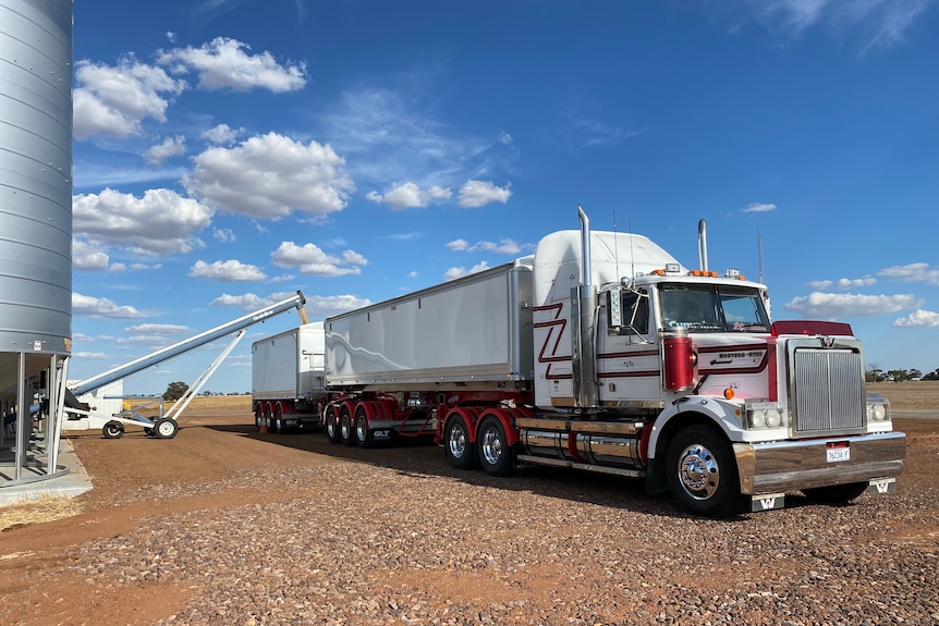a red and white b double truck with a grain silo on the left with conveyor belt depositing the grain. blue sky behind on red dir