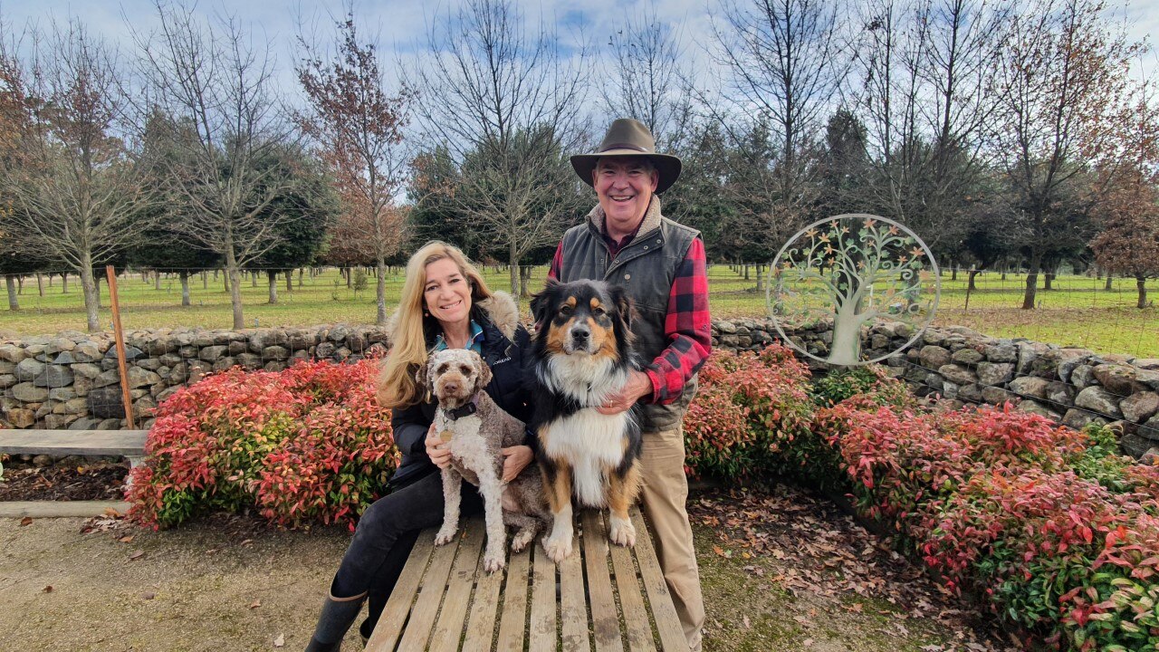 Two people standing at a table with two dogs