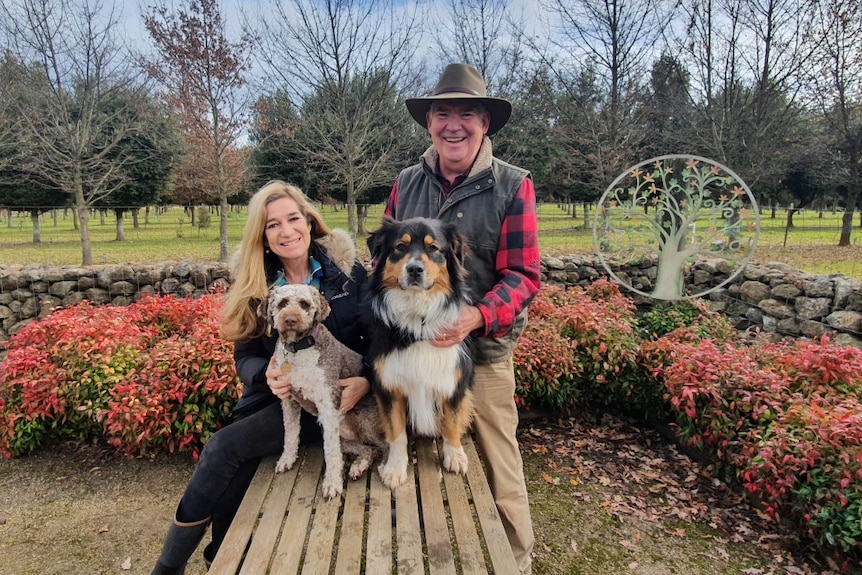 Two people standing at a table with two dogs