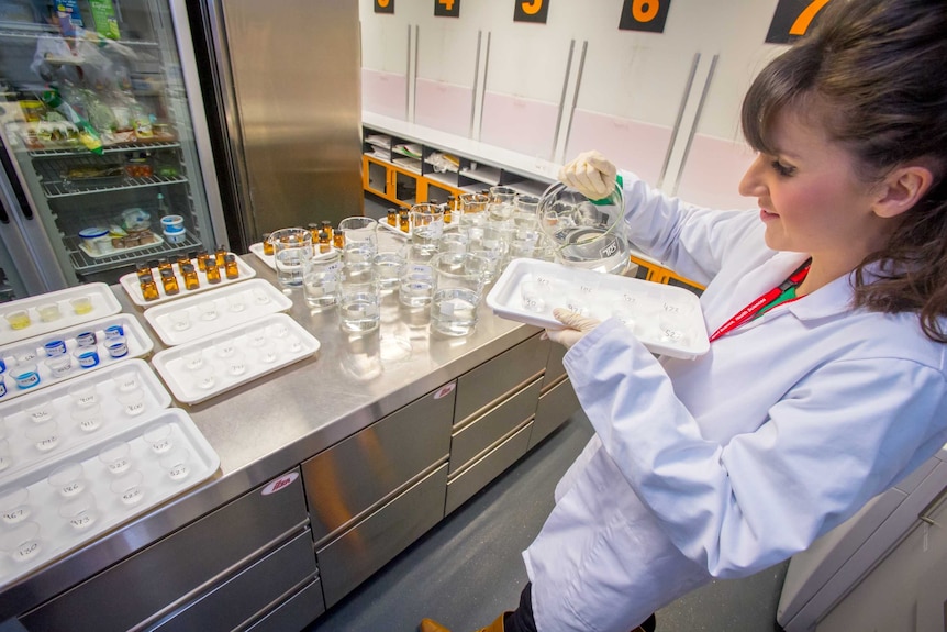 A researcher in a lab pours out different fats into cups for taste testing