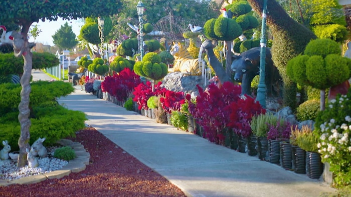Colourful front garden filled with topiary and animal statues