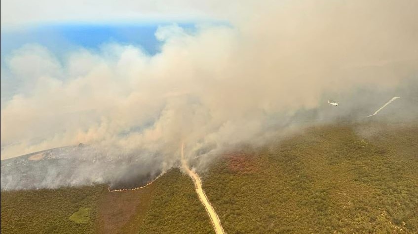 bush fire from above