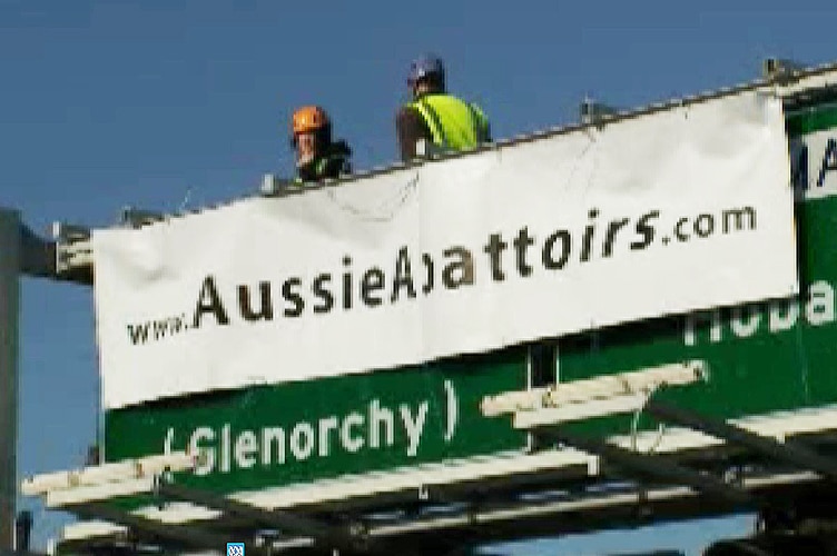 Animal rights protesters on a gantry on the Tasman Bridge, Hobart.