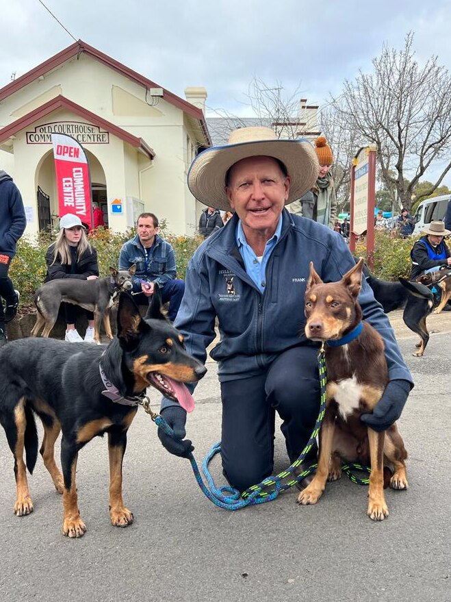 Frank Finger poses for photo with his two kelpies Annie and Luci