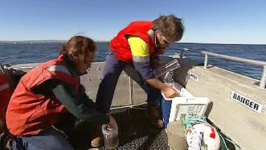 Researchers are checking water quality off the Adelaide coast