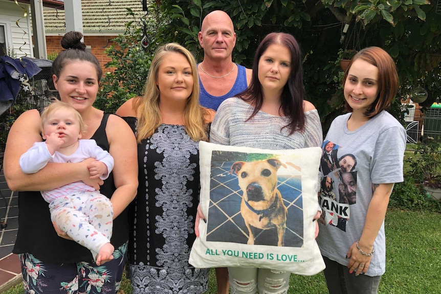 The Ball and Goward family remembering Misha as a loving and happy dog