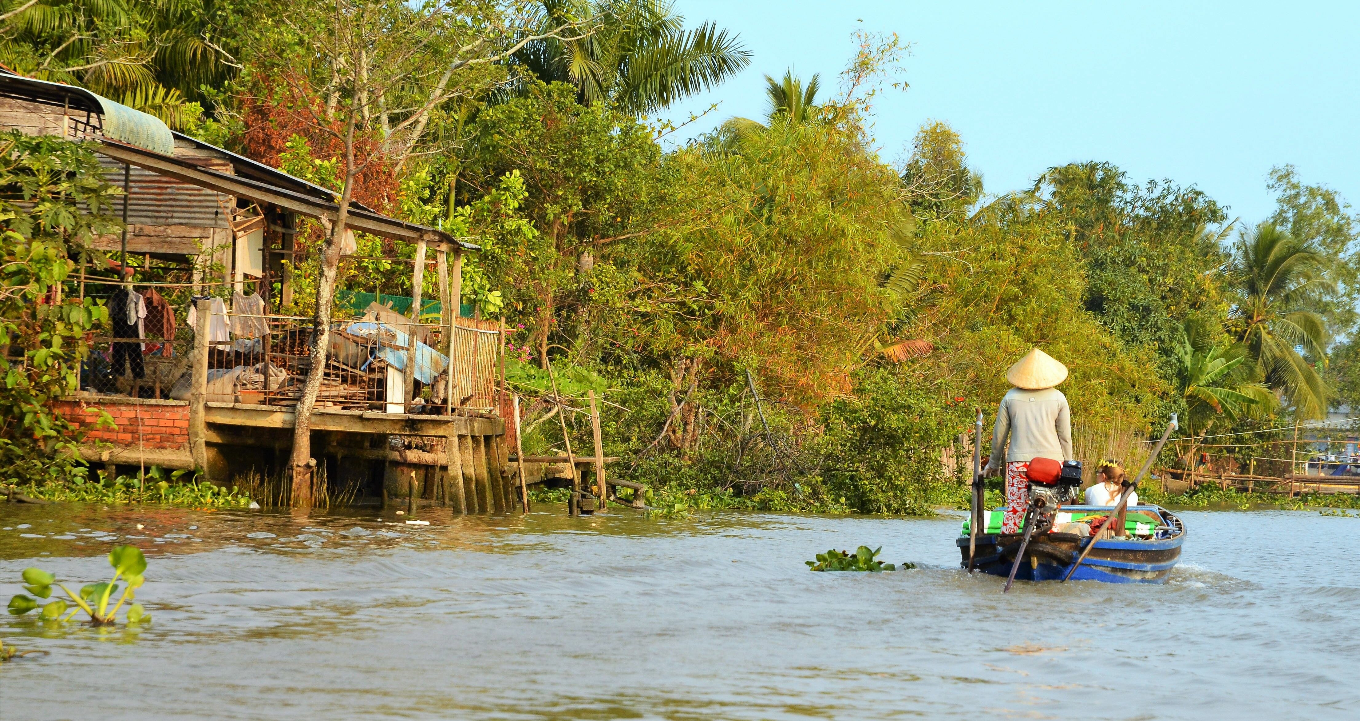 A loan rowing boat travelling down an idyllic Vietnamese river.