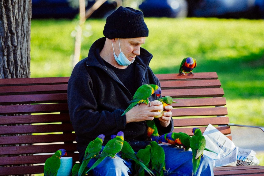 A man sitting on a park bench with mask pulled down feeds some rainbow lorikeets.