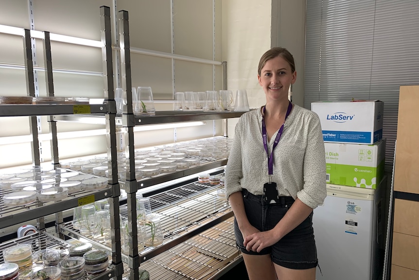 A young woman wearing black shorts and white shirt stands in front of petri dishes in a research lab. 