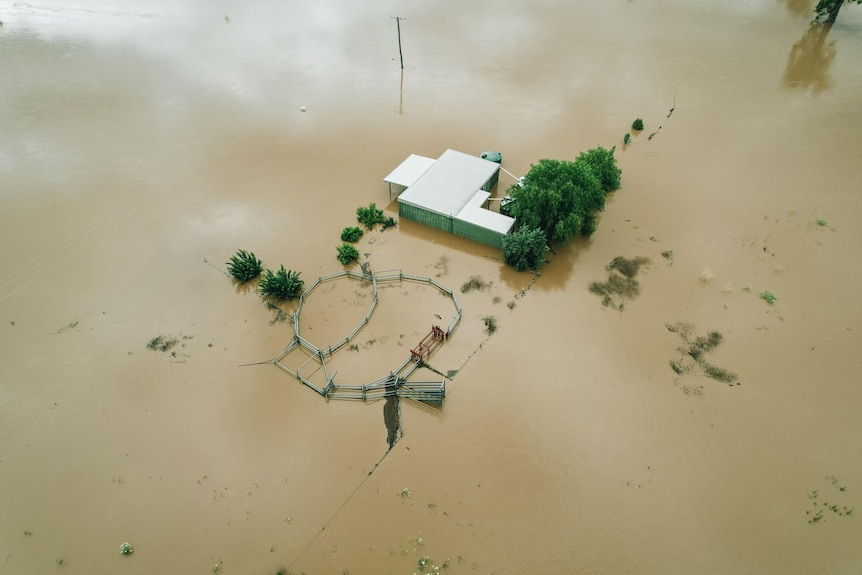 House surrounded by brown floodwaters.