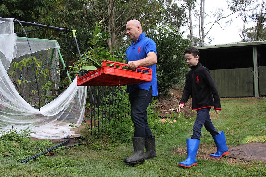 A father and son in gumboots carry a red plastic pallet full of pot plants and produce away from a garden and greenhouse.