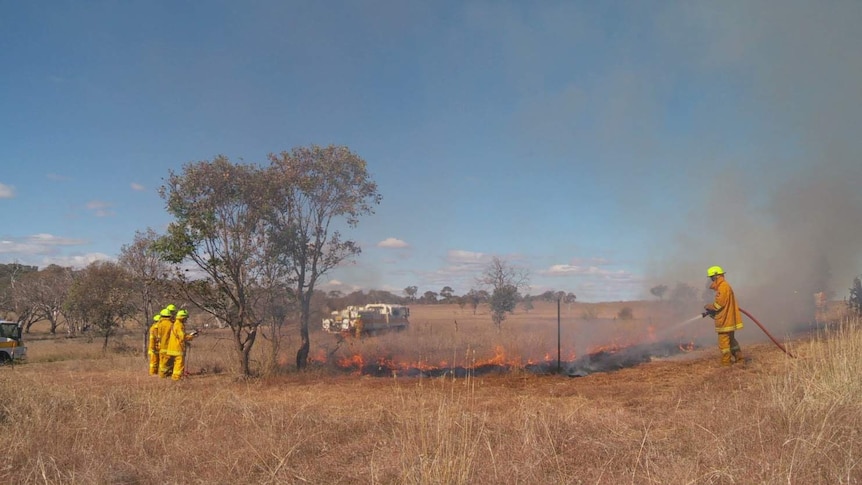 ACT Rural Fire Service overseeing controlled burns of native grasslands.