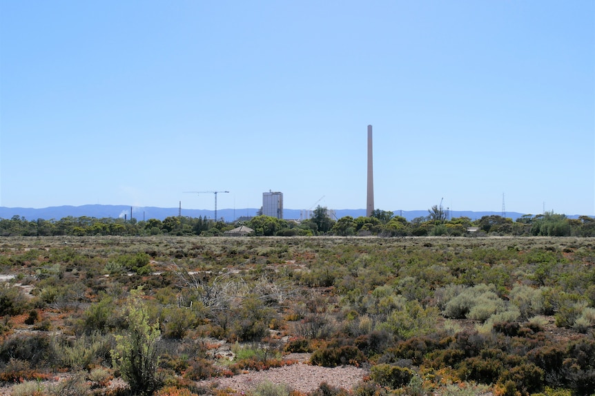 Vacant land in Port Pirie near the town's lead smelter. 