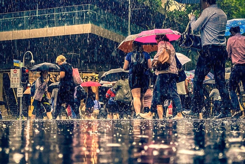 People walk with umbrellas through heavy rain at an intersection in Brisbane's CBD, they are reflected in water on the ground.