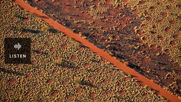 An aerial photograph showing circles and a dirt track. Has Audio