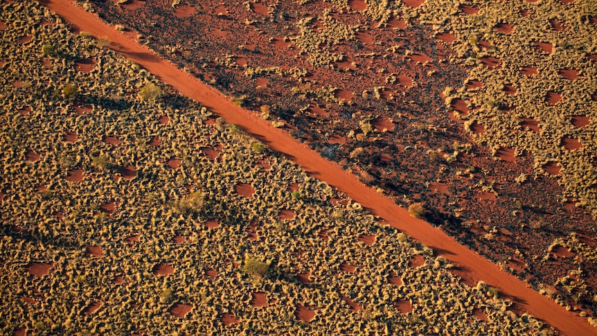 An aerial photograph showing circles and a dirt track.