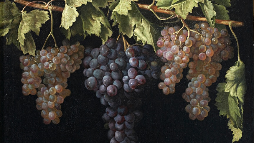 Still Life with Four Bunches of Grapes
