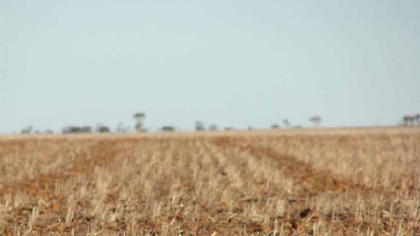 Some West Australian farmers are dealing with one of their worst years ever