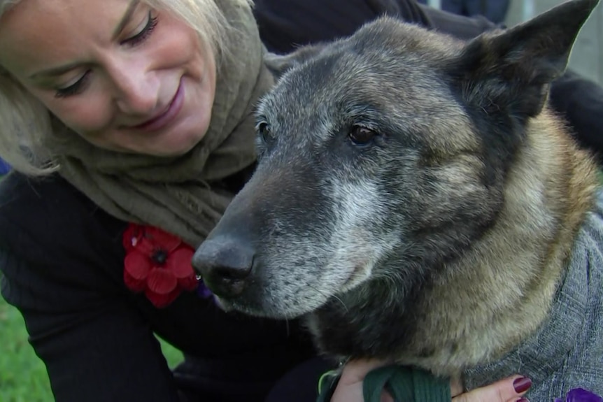 A close-up profile of a dog wearing a coat and a woman with blonde hair.