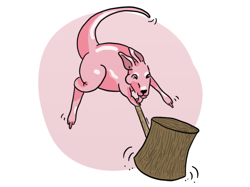An illustration of a pink kangaroo wielding a log-like hammer.