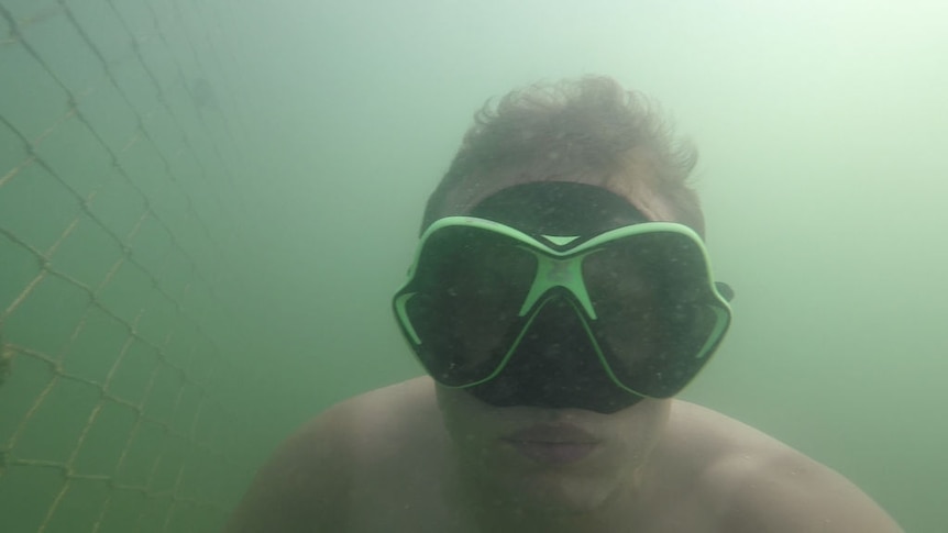Dmitriy Ross was freediving off Brighton Le Sands Beach when he  lost consciousness.