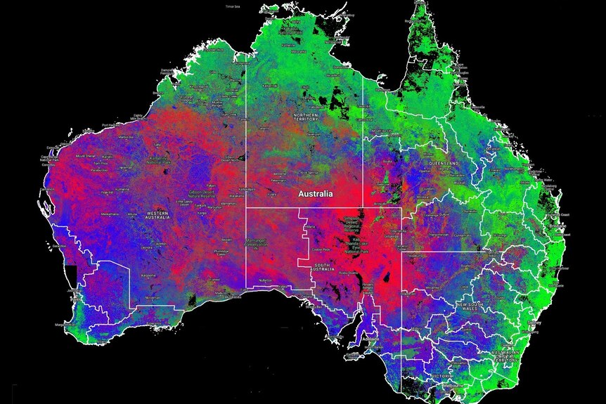 Fractional cover map of Australia