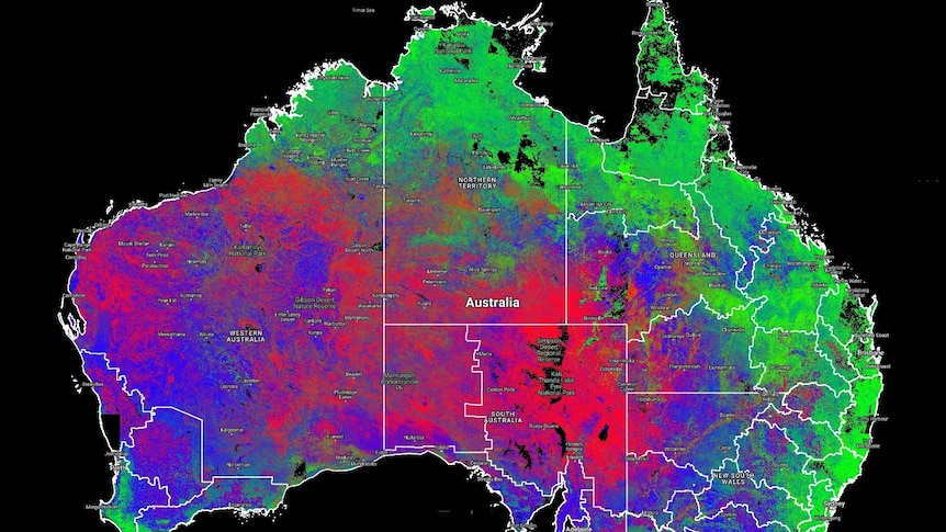 Fractional cover map of Australia