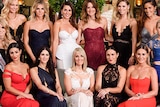 Contestants in 2017's The Bachelor