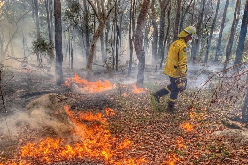 rfs controlled burns