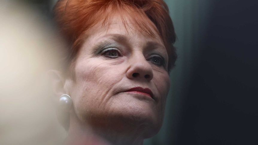 One Nation leader Pauline Hanson looks down with two dark shapes beside her.