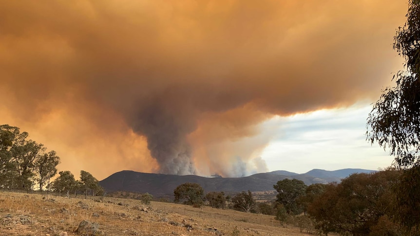 View of the smoke from the Orraral Valley fire.