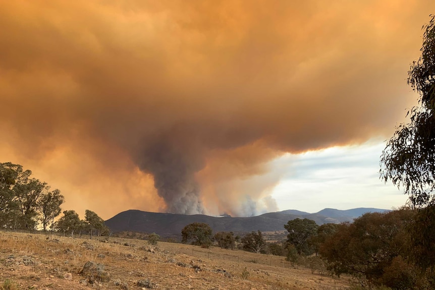 View of the smoke from the Orroral Valley fire.