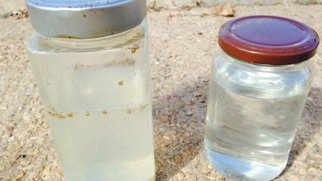Darwin Harbour water samples in jars.