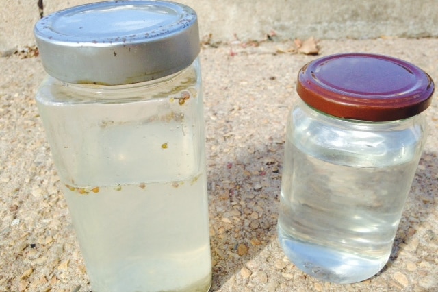 Darwin Harbour water samples in jars.