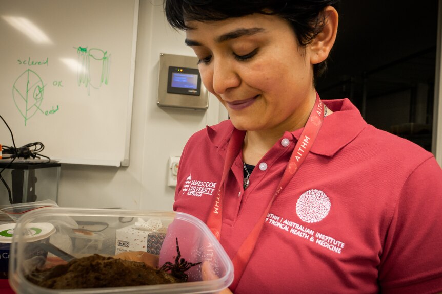 A young woman in a lab holds a funnel web spider in a container